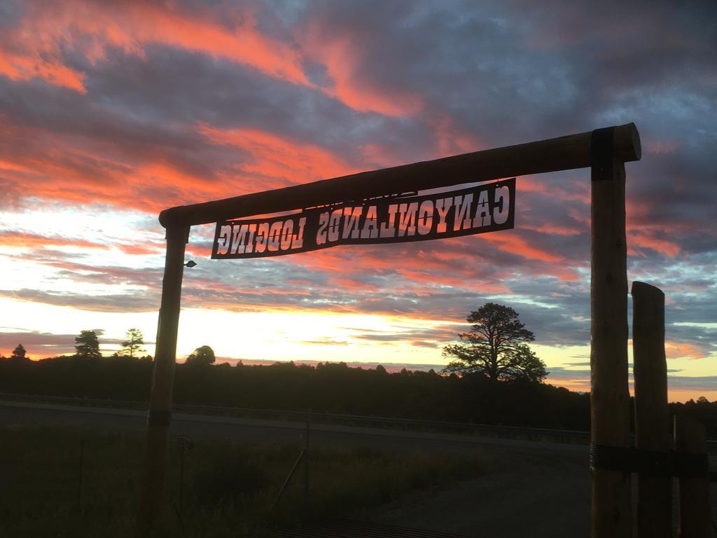 Lupine Cabin, Glamour Camping, Stunning Skies And Sunrise Views Monticello Exteriér fotografie